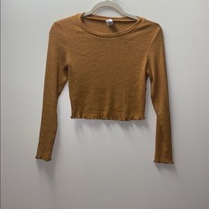 Burnt orange ribbed cropped long sleeve